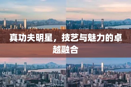 守护在此方 第17页