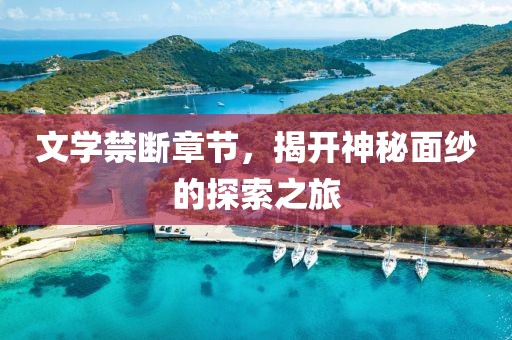 文学禁断章节，揭开神秘面纱的探索之旅