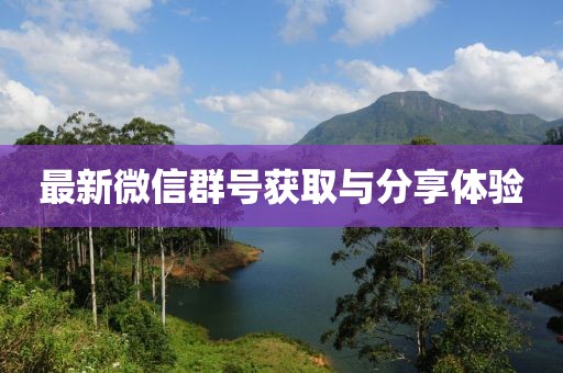 最新微信群号获取与分享体验
