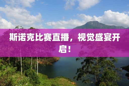 斯诺克比赛直播，视觉盛宴开启！