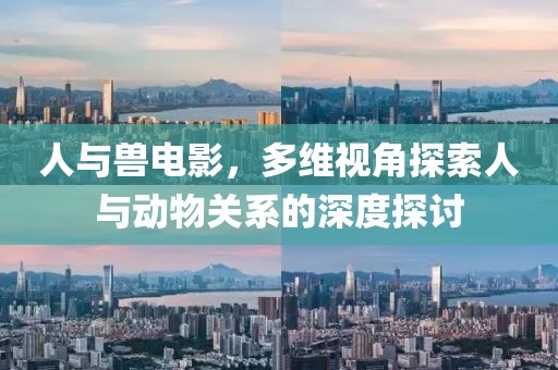 人与兽电影，多维视角探索人与动物关系的深度探讨