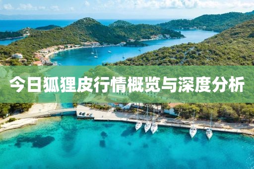 今日狐狸皮行情概览与深度分析
