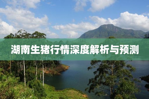 湖南生猪行情深度解析与预测