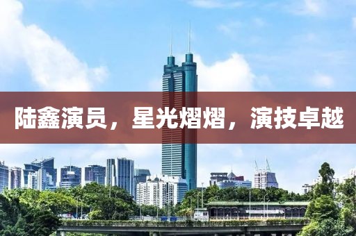 陆鑫演员，星光熠熠，演技卓越