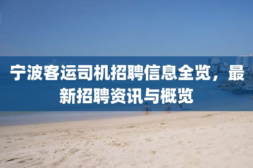 冰月灵狐 第15页