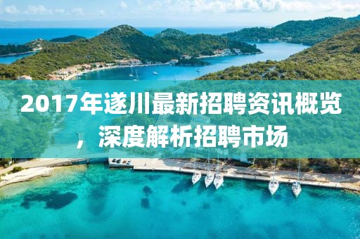 2017年遂川最新招聘资讯概览，深度解析招聘市场
