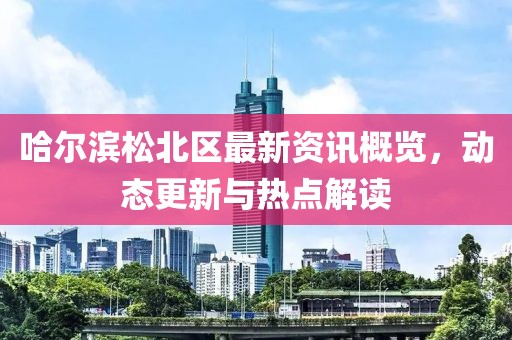哈尔滨松北区最新资讯概览，动态更新与热点解读