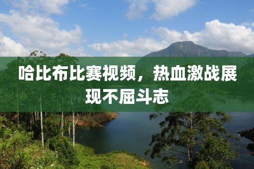 哈比布比赛视频，热血激战展现不屈斗志