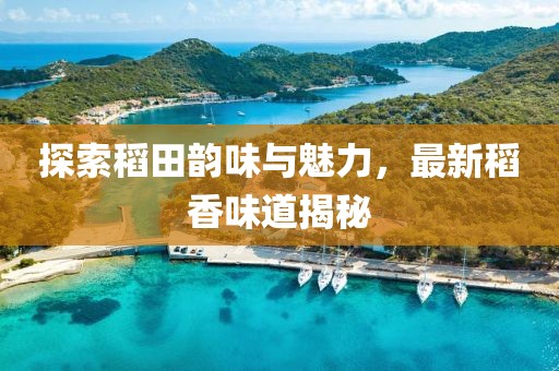 探索稻田韵味与魅力，最新稻香味道揭秘