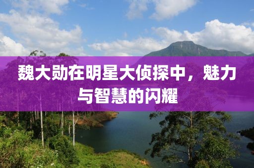 魏大勋在明星大侦探中，魅力与智慧的闪耀