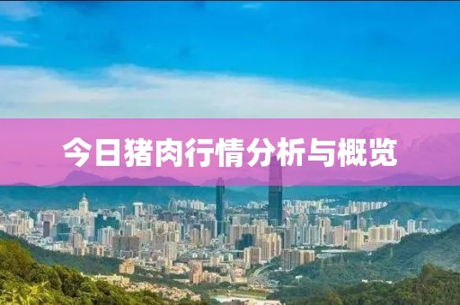 今日猪肉行情分析与概览