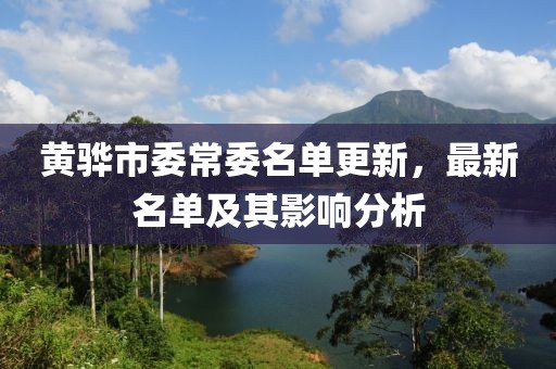 黄骅市委常委名单更新，最新名单及其影响分析