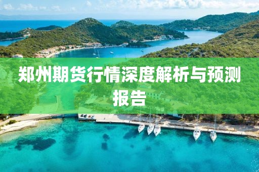 郑州期货行情深度解析与预测报告