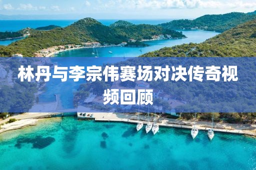 林丹与李宗伟赛场对决传奇视频回顾