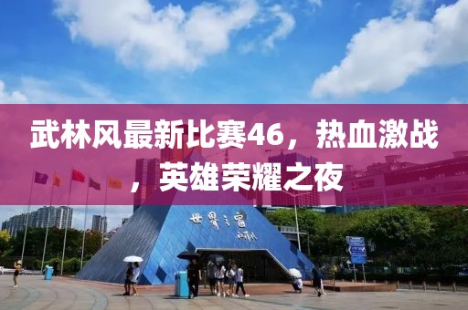 武林风最新比赛46，热血激战，英雄荣耀之夜