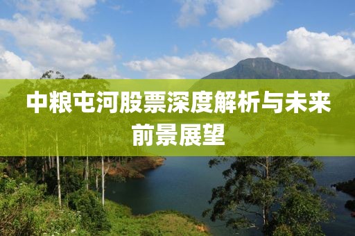 中粮屯河股票深度解析与未来前景展望