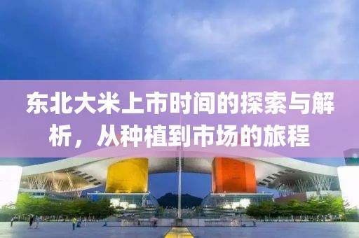 东北大米上市时间的探索与解析，从种植到市场的旅程
