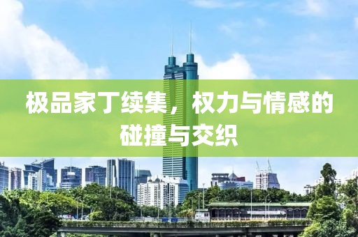 极品家丁续集，权力与情感的碰撞与交织