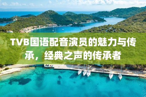TVB国语配音演员的魅力与传承，经典之声的传承者