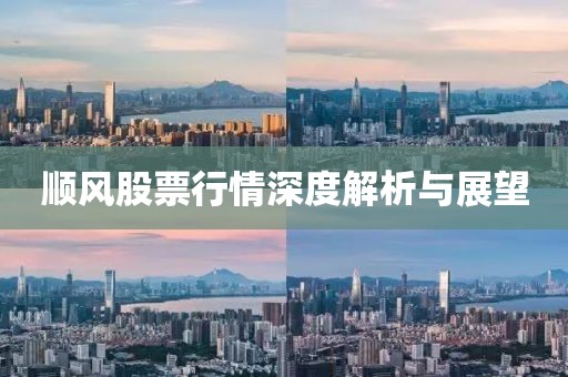 顺风股票行情深度解析与展望