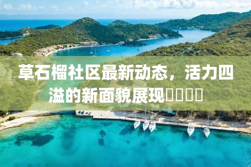 草石榴社区最新动态，活力四溢的新面貌展现​​​​