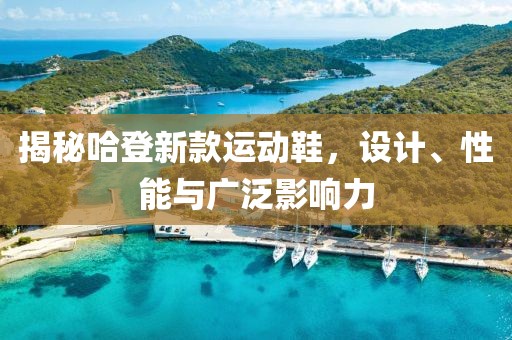 揭秘哈登新款运动鞋，设计、性能与广泛影响力
