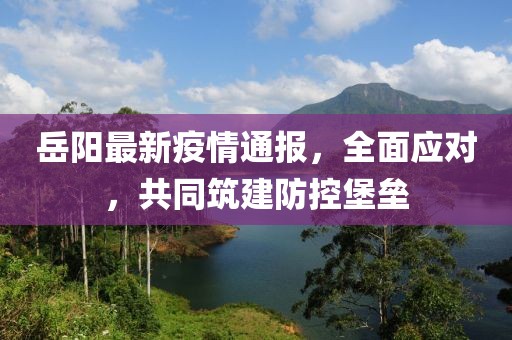轻飞曼舞 第14页