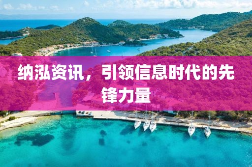 纳泓资讯，引领信息时代的先锋力量