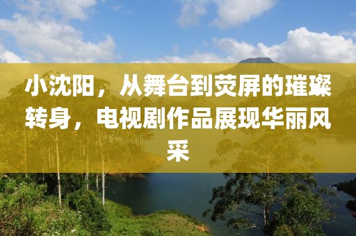 小沈阳，从舞台到荧屏的璀璨转身，电视剧作品展现华丽风采