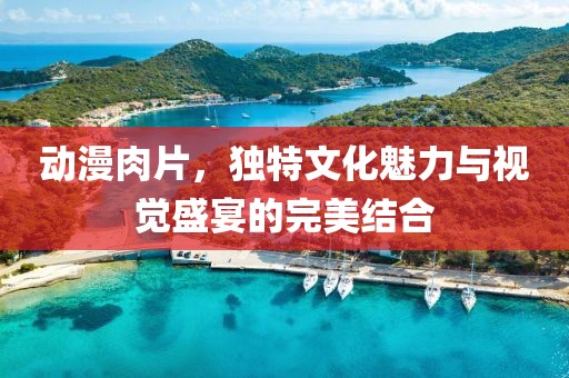 动漫肉片，独特文化魅力与视觉盛宴的完美结合