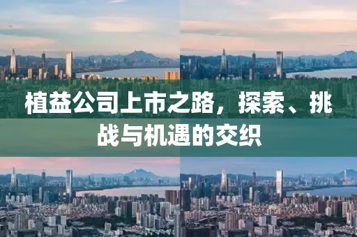 念如丝缕 第14页