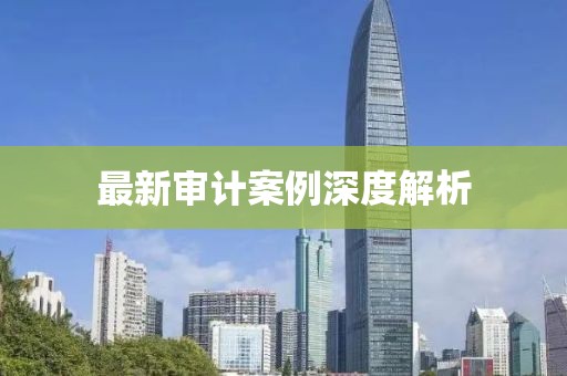 最新审计案例深度解析