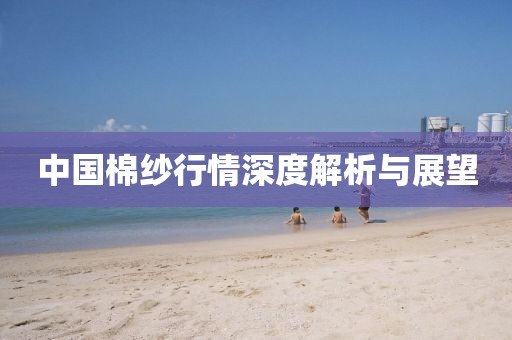 中国棉纱行情深度解析与展望