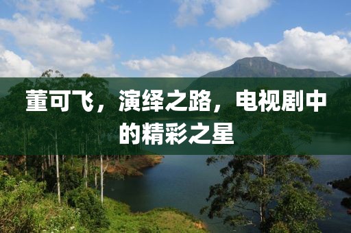 董可飞，演绎之路，电视剧中的精彩之星