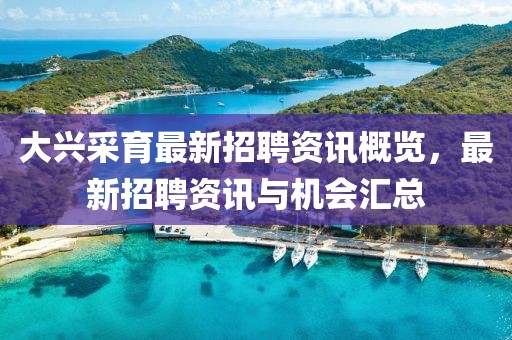 大兴采育最新招聘资讯概览，最新招聘资讯与机会汇总