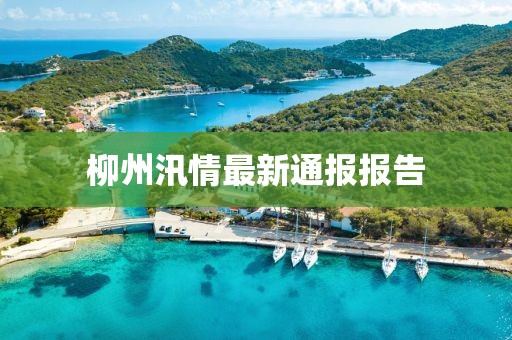柳州汛情最新通报报告