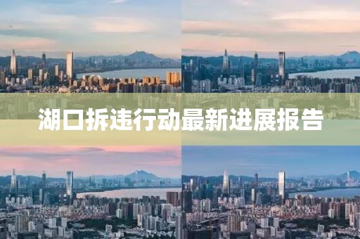 湖口拆违行动最新进展报告