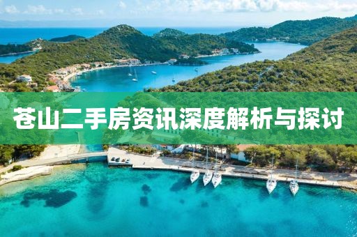 苍山二手房资讯深度解析与探讨
