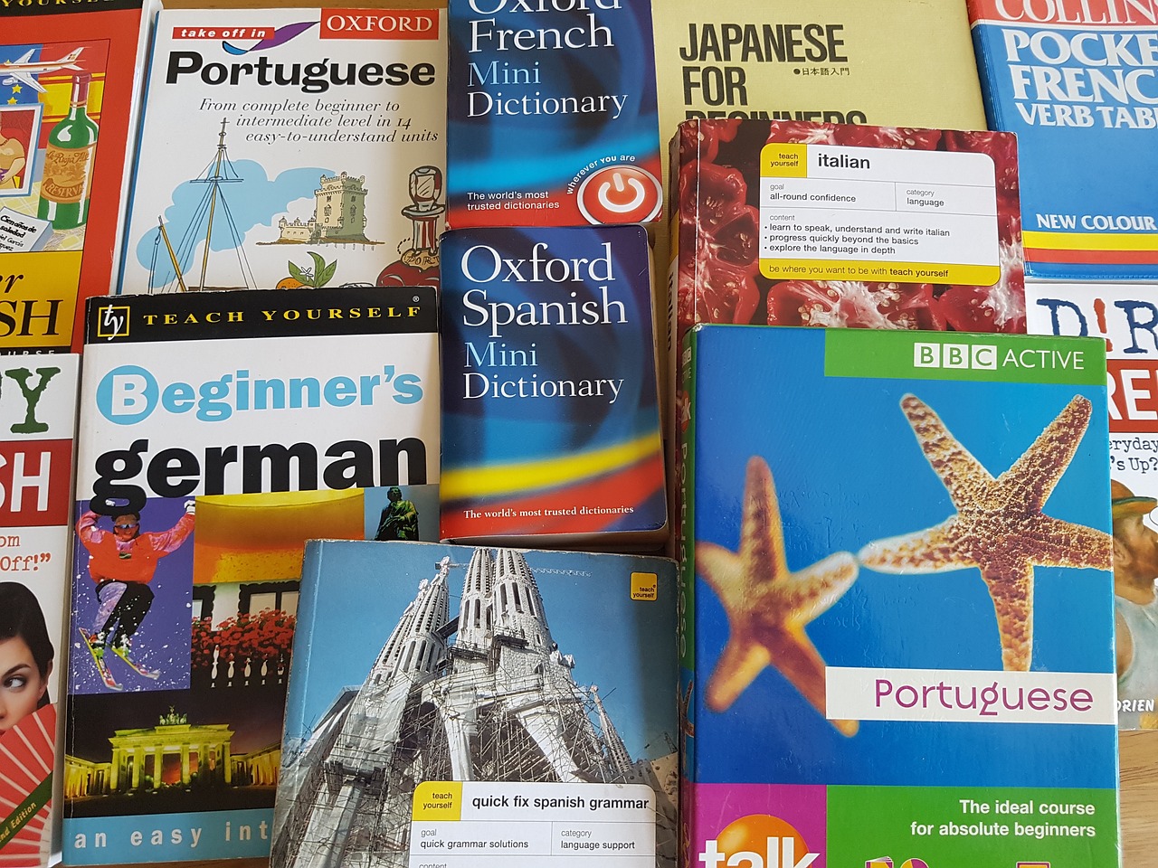 最新天道图书推荐，探索知识的新领域之旅