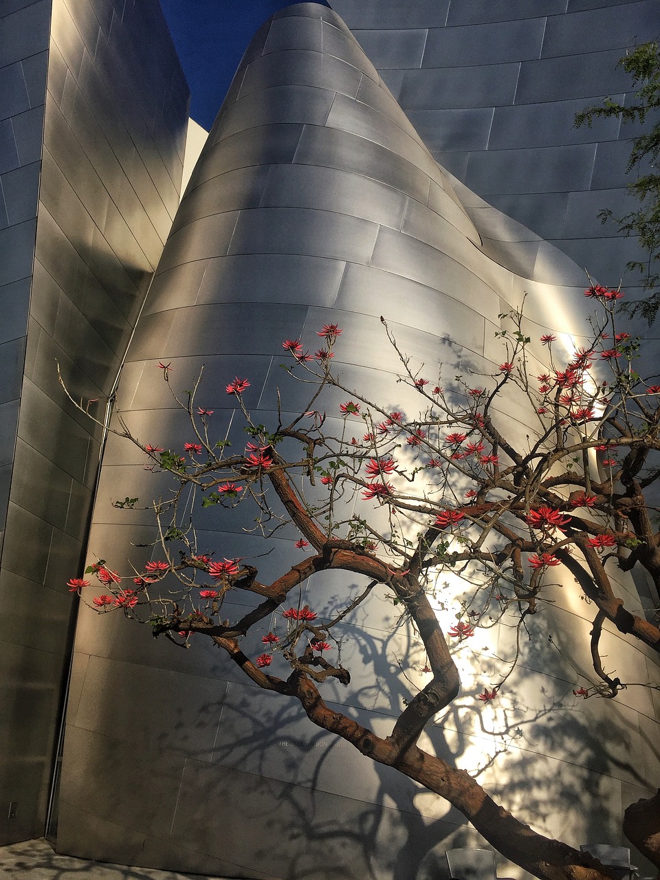 河惠莞高速最新进展、建设动态及未来规划与影响分析综述