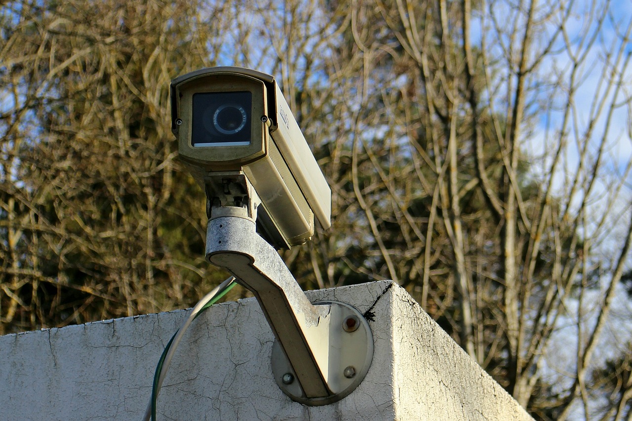 赣州刘建萍的最新动态，探索不止，奋进不息