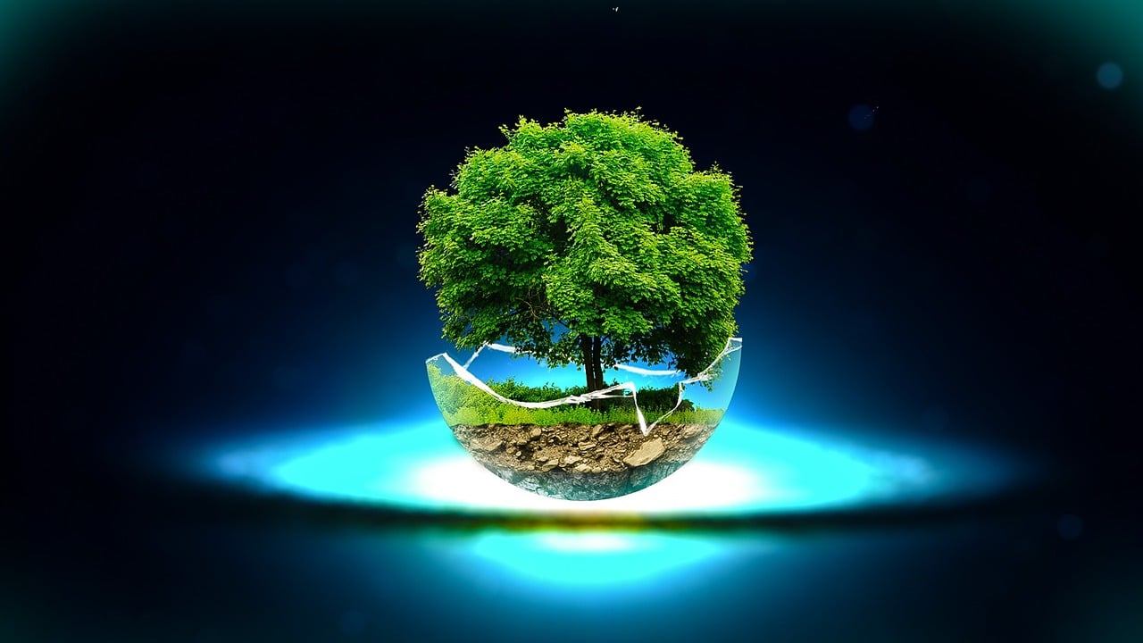 杜明星，闪耀之星的光芒与影响力