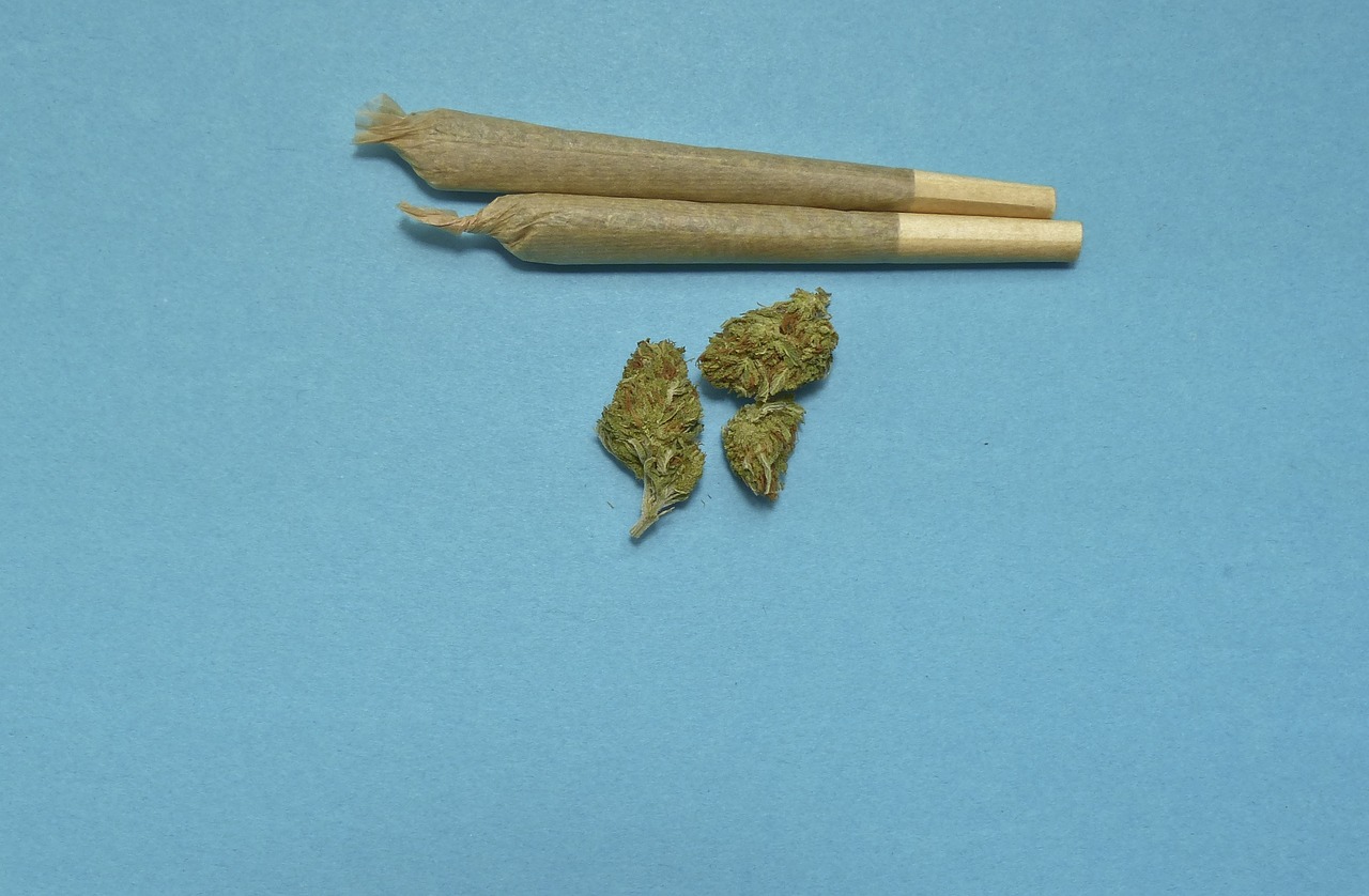 龙门防疫新动态，筑牢防线，守护健康之门