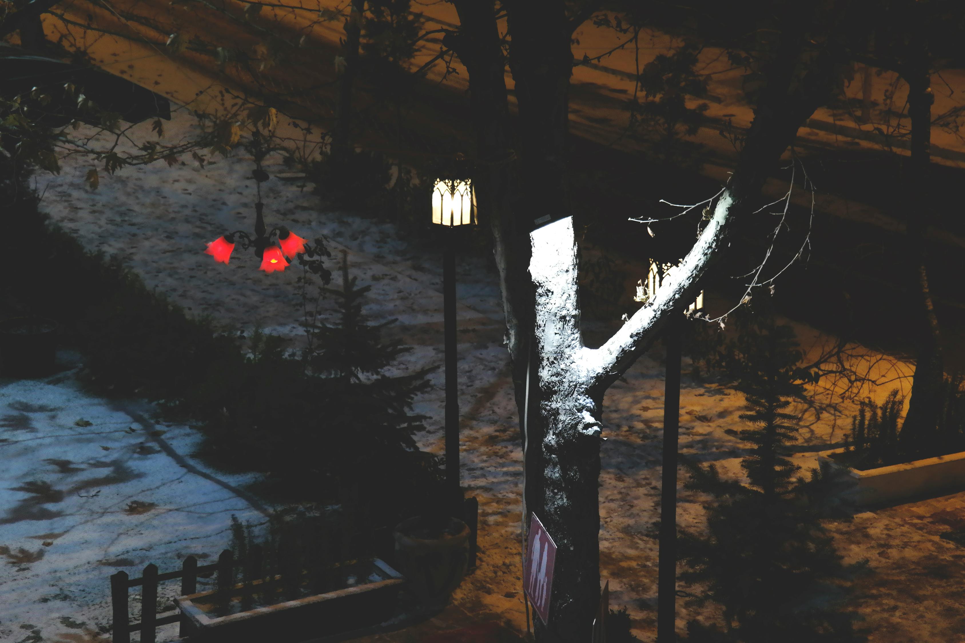 寒王宠爱纪最新章节探秘，深情寒王的爱宠之旅