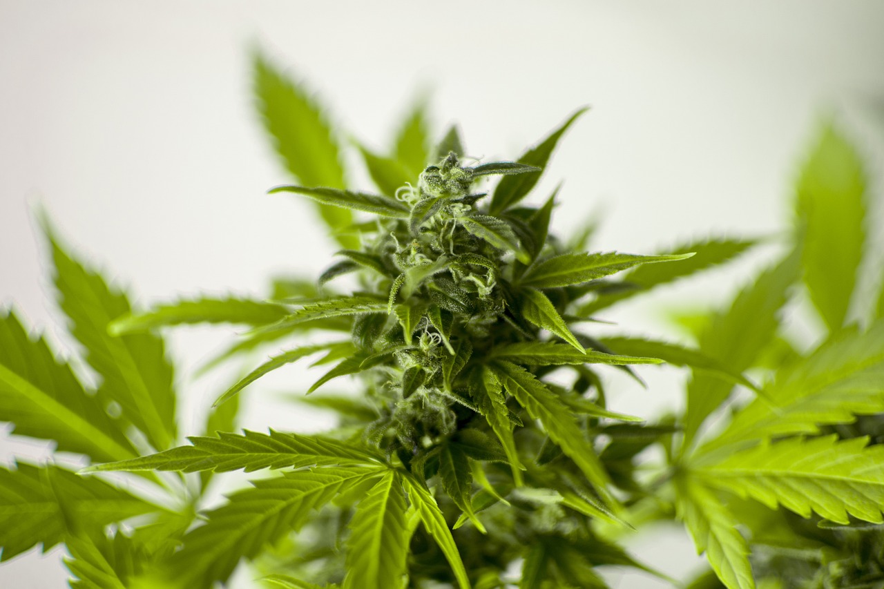 西安非法集资最新动态揭秘，风险预警与应对策略揭秘