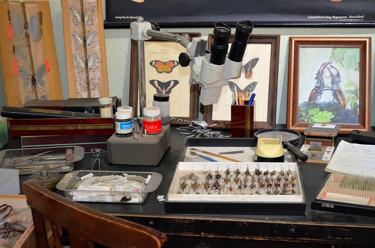 探索微观世界的变革与发展，虫工界最新动态揭秘