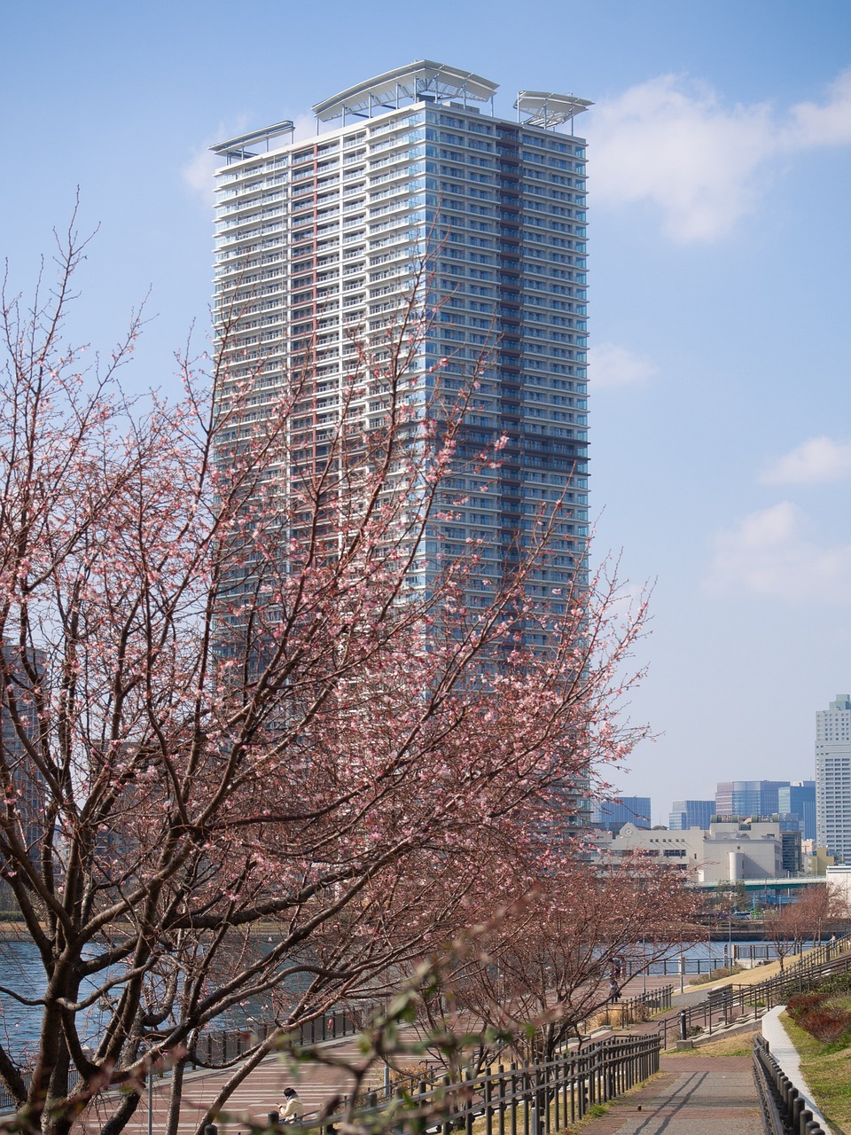 峰峰中央公园最新动态更新
