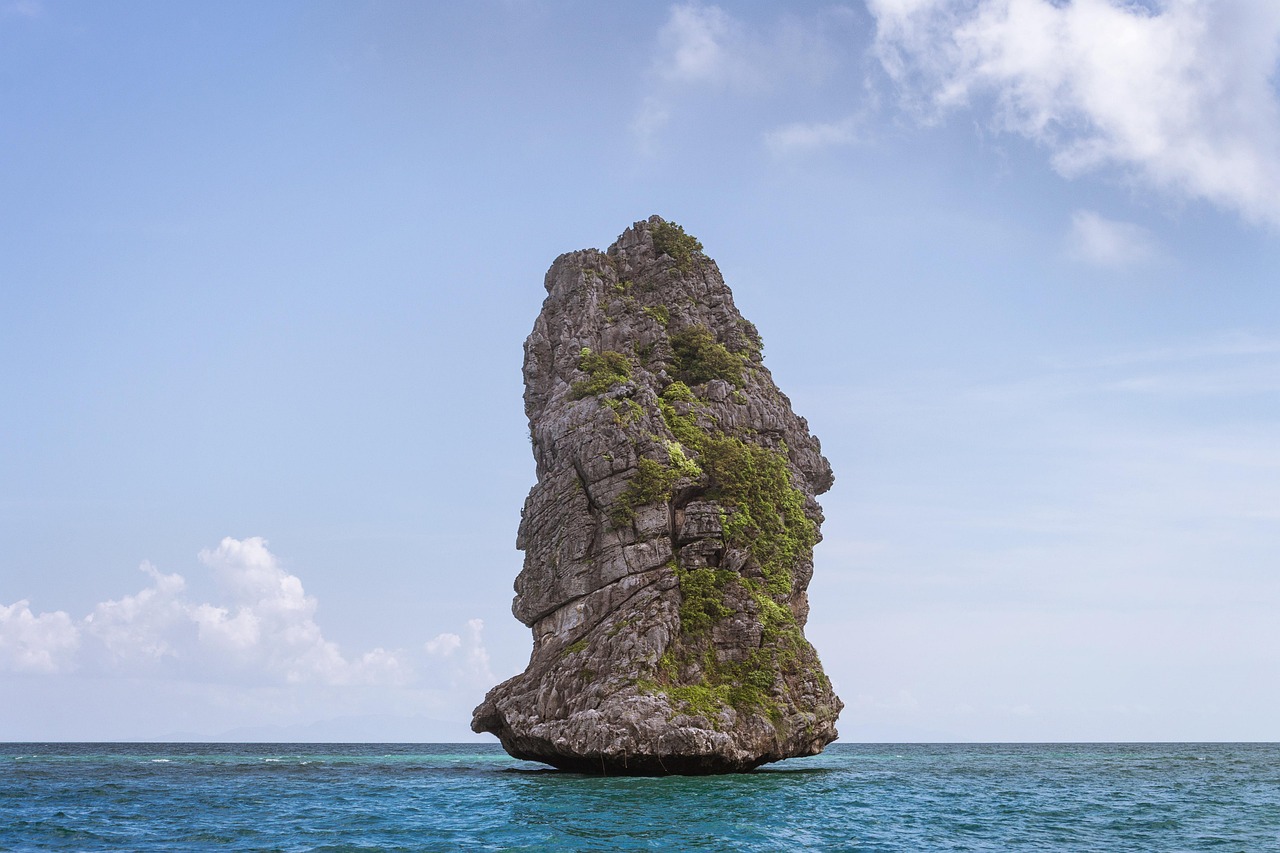 成都海洋公园门票价格及详细地址解析
