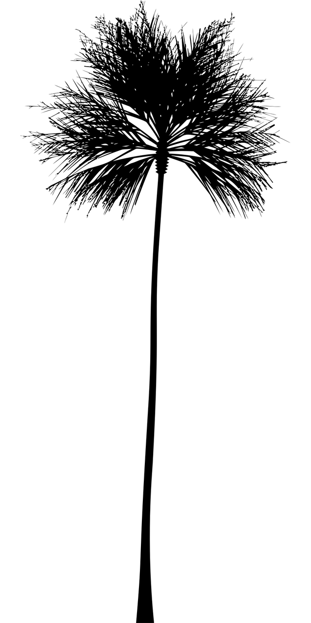 一清北华 第15页