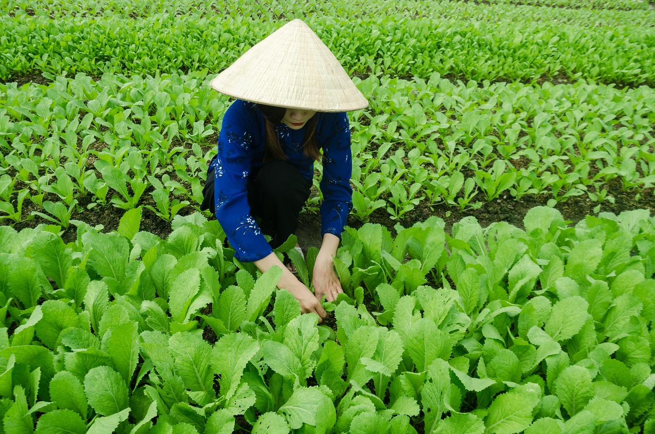 定陶开发最新动态更新